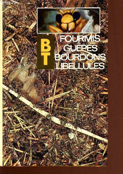 Fourmis, gupes, bourdons, libellules - collection BT n6