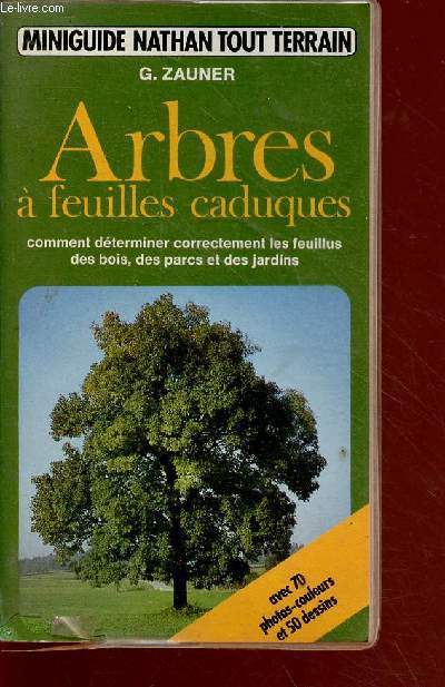 Arbres  feuilles caduques - comment dterminer correctement les feuillus des bois, des parcs et des jardins