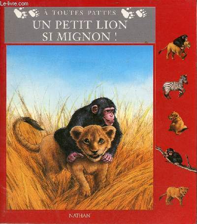 Un petit lion si mignon ! - Collection  toutes pattes.