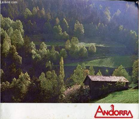 Brochure : Androrra.