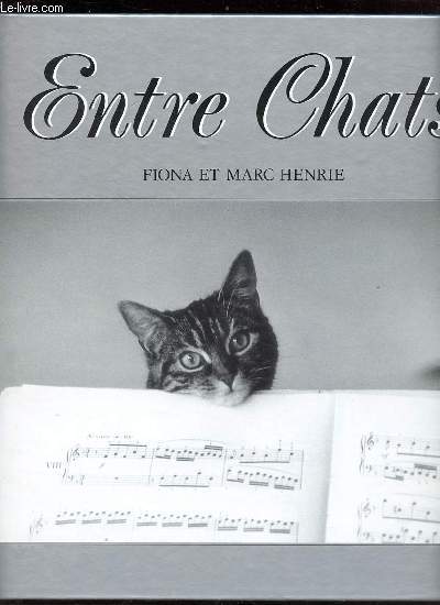 Entre chats.