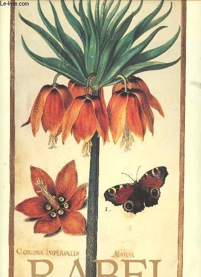 Daniel Rabel cent fleurs et insectes - Collection Bibliothque nationale.