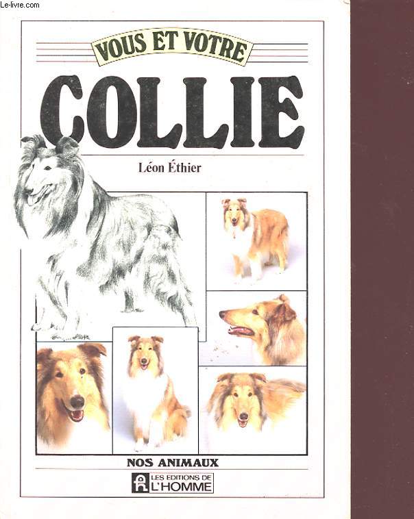 VOUS ET VOTRE COLLIE