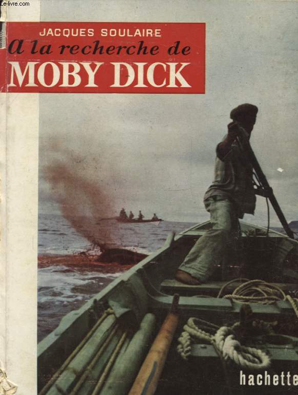 A LA RECHERCHE DE MOBY DICK