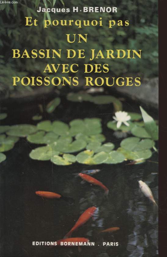 ET POURQUOI PAS UN BASSIN DE JARDIN AVEC DES POISONS ROUGES