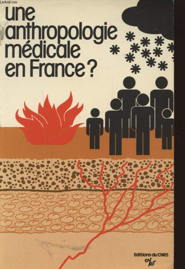 UNE ANTHROPOLOGIE MEDICALE EN FRANCE ?