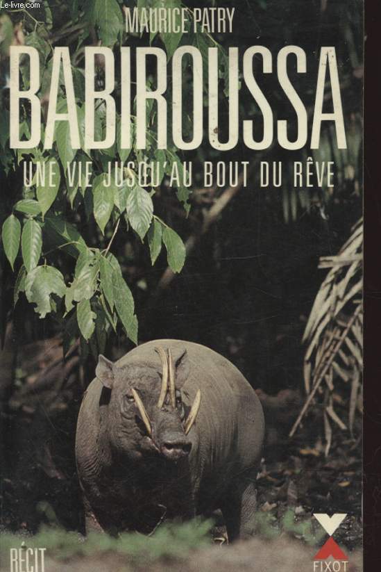 BABIROUSSA UNE VIE JUSQU AU BOUT DU REVE