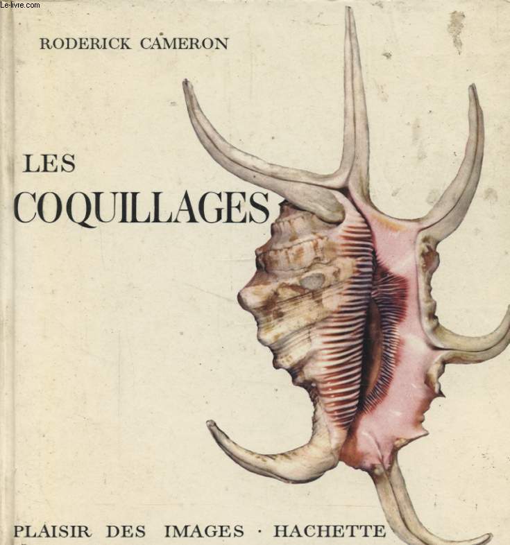 LES COQUILLAGES
