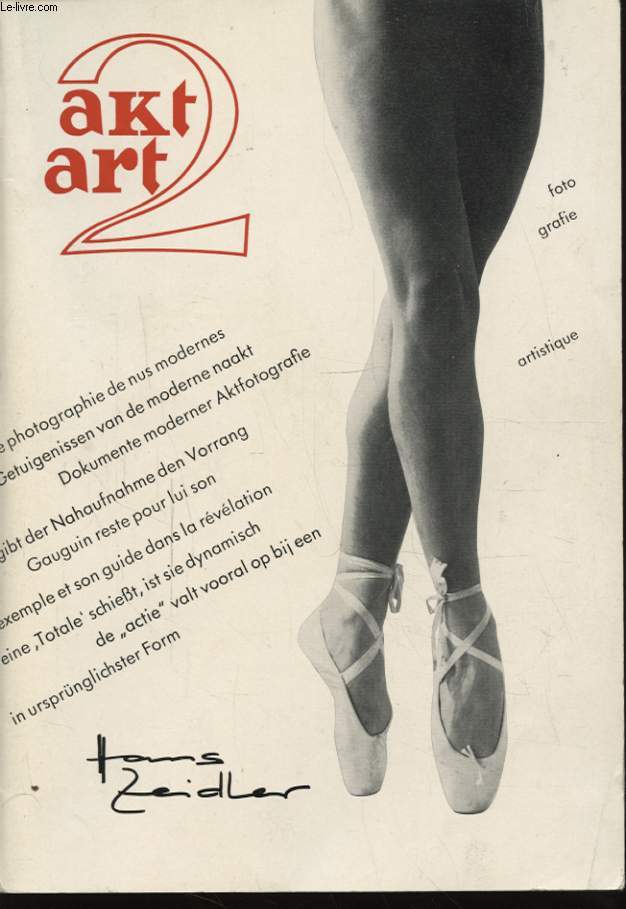 AKT ART 2 DOCUMENTS DE PHOTOGRAPHIE DE NUS MODERNES EXEMPLE ET SON GUIDE DAN SLA REVELATION
