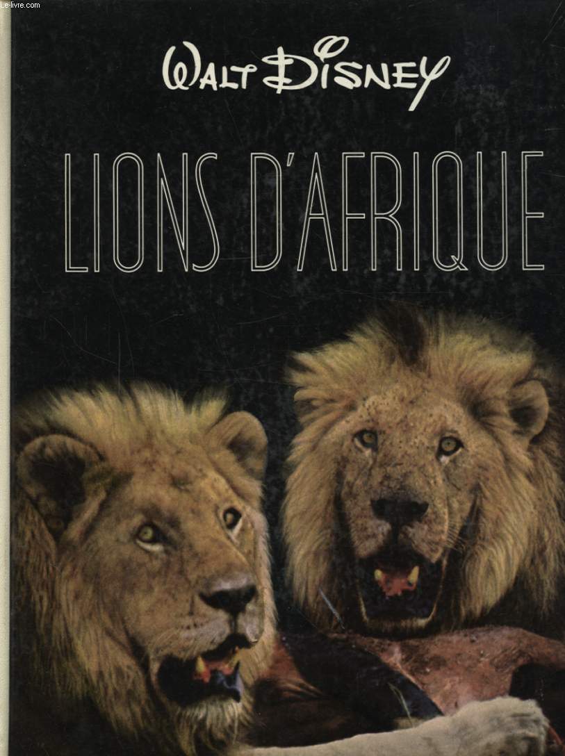 LIONS D AFRIQUE