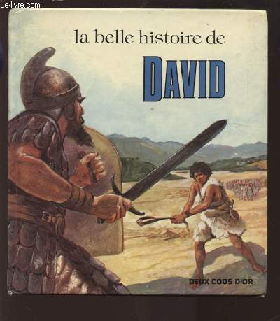 LA BELLE HISTOIRE DE DAVID.