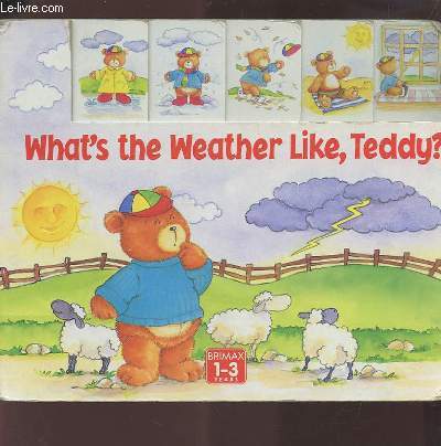 WHAT'S THE WEATHER LIKE, TEDDY ?.