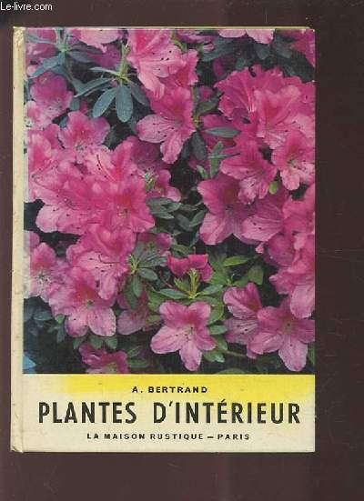 PLANTES D'INTERIEUR