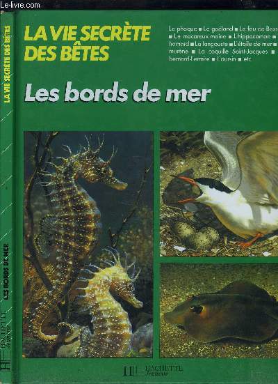 LES BORDS DE MERS - Le phoque - Le goeland - le fou de Bassan - Le macareux moine - l'hippocame - le homard - la langouste - l'etoile de mer - la muerene - la coquille St Jacques - Bernard l'ermite - l'oursin etc.. / COLLECTION 