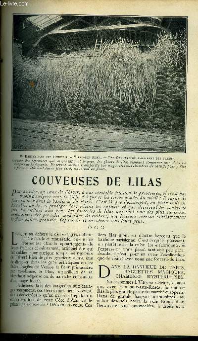 COUVEUSES DE LILAS