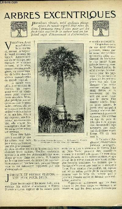 ARBRES EXCENTRIQUES