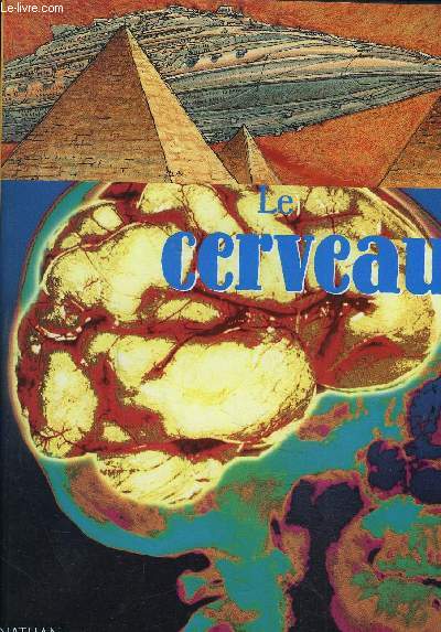 LE CERVEAU