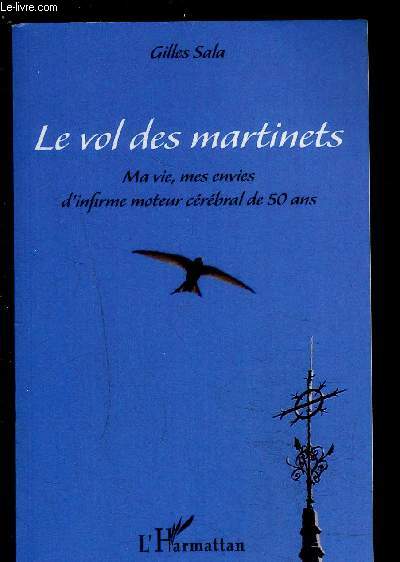 LE VOL DES MARTINETS