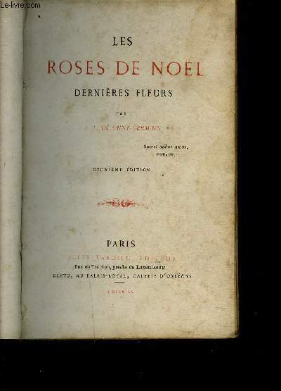 LES ROSES DE NOEL - DERNIERES FLEURS