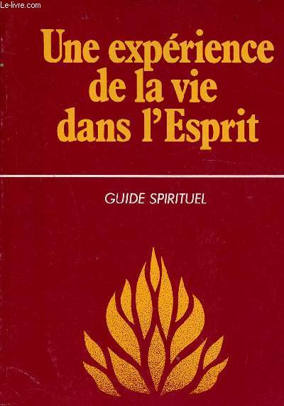 UNE EXPERIENCE DE LA VIE DANS L'ESPRIT - GUIDE SPIRITUEL