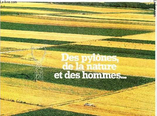 DES PYLONES DE LA NATURE ET DES HOMMES...