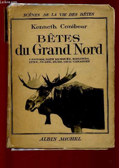 BETES DU GRAND-NORD : Castors, rats musqus, renards, lynx, lans, ours, geai canadien