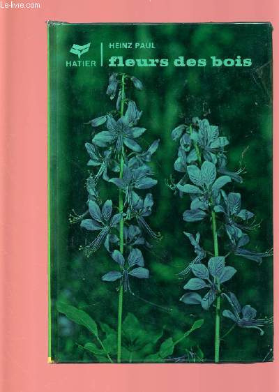 FLEURS DES BOIS