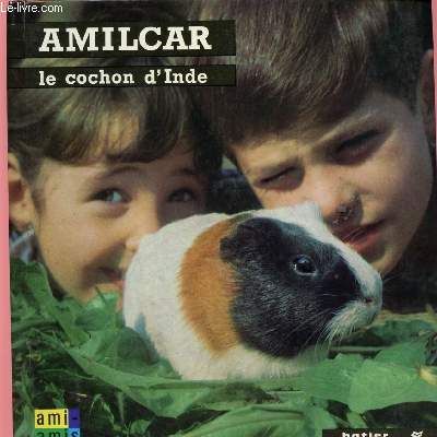 AMILCAR LE COCHON D'INDE