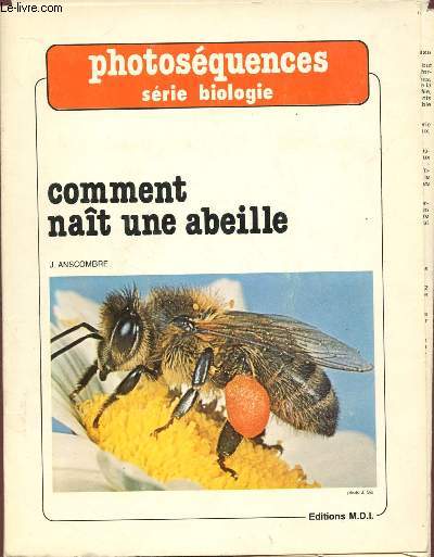 PHTOSEQUENCES - SERIE BIOLOGIE : COMMENT NAIT UNE BAILLE