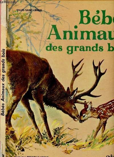 BEBES ANIMAUX DES GRANDS BOIS