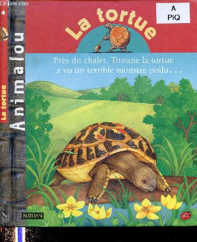 LA TORTUE (ALBUM JEUNESSE AVEC EXPLICATIONS, DOCUMENTAIRE - ILLUSTRE EN COULEURS) - COLLECTION 