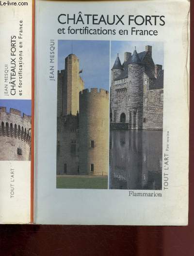 CHATEAUX FORTS ET FORTIFICATIONS EN FRANCE