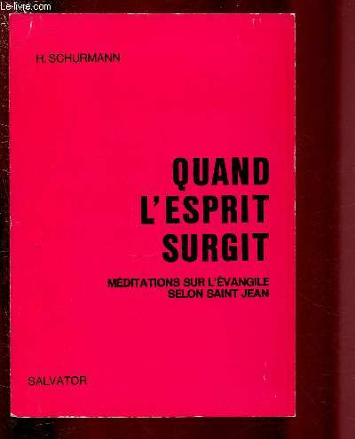 QUAND L'ESPRIT SURGIT - MEDITATIONS SUR L'EVANGILE SELON SAINT JEAN