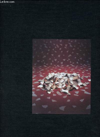 OBJECT CARPET : LA MAISON DE VERRE ODEK LIEBE ZUR GEOMETRIE