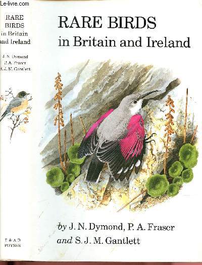 Rare birds in Britain and Ireland
