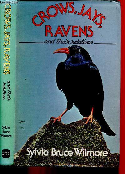 Crows, jays, ravens and their relatives