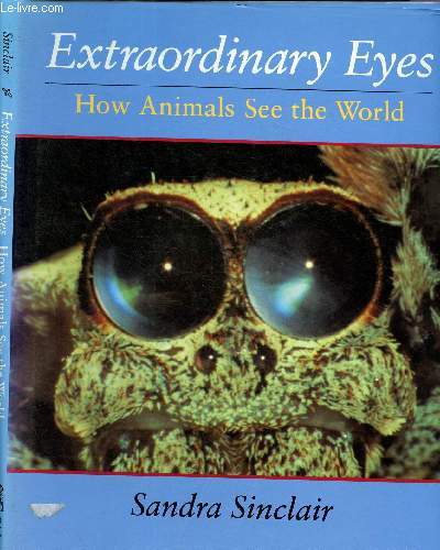 Extraordonary eyes : how animals see the Wolrd
