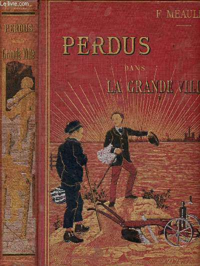 Perdus dans la grande ville
