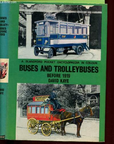 Buses and trolleybuses before 1919