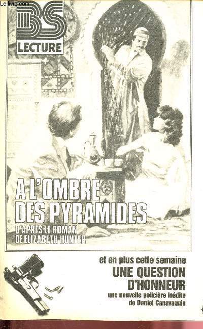 A l'ombre des pyramides - BS lecture - Bonne soire lecture