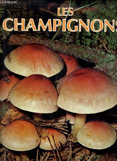 Les champignons