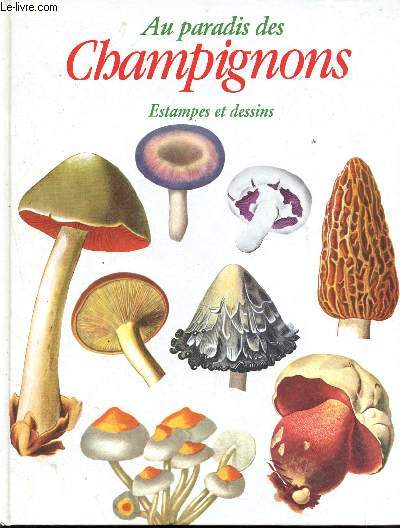 Au paradis des champignons