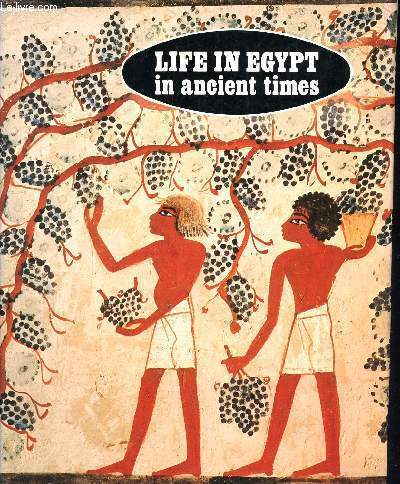 Life in egypt in ancient times