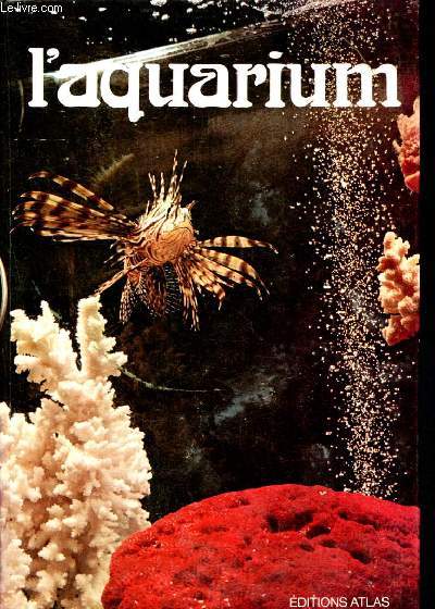 L'aquarium