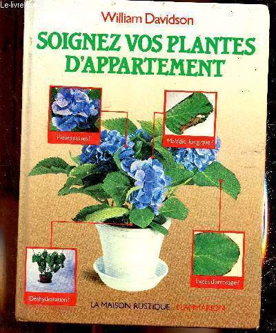 Soignez vos plantes d'appartement - comment garder de belles plantes
