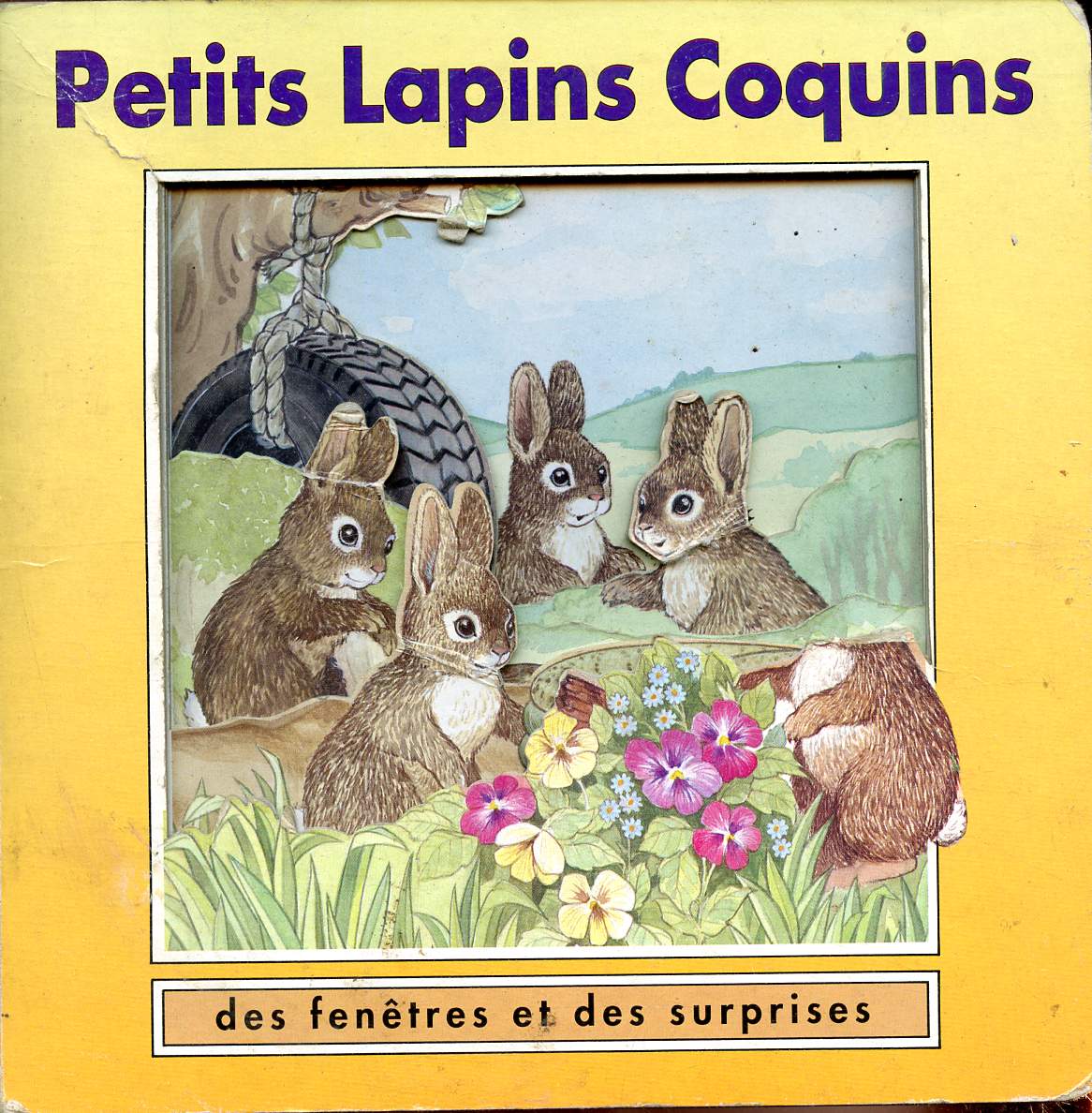 Petits lapins coquins, des fentres et des surprises