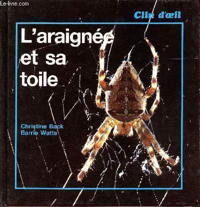 L'araigne et sa toile