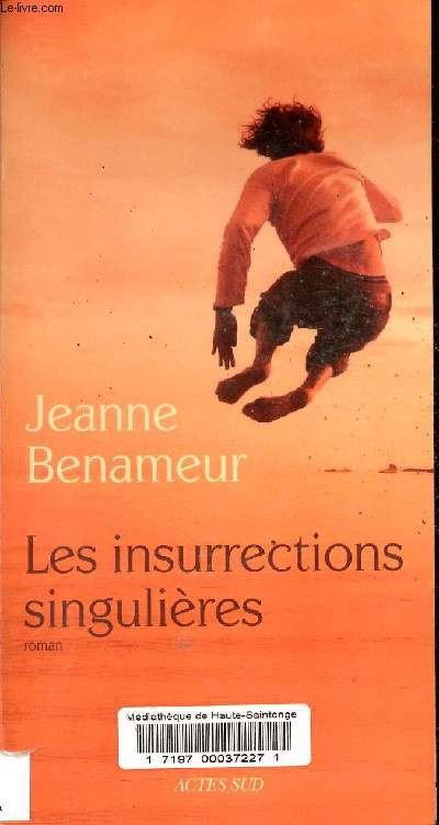 Les insurrections singulires - Collection Domaine franais.