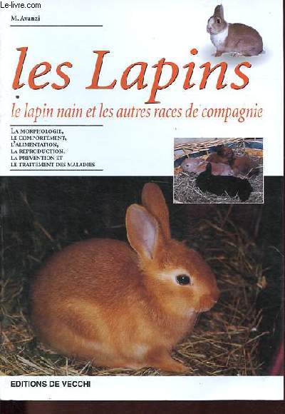 Les lapins - Le lapin nain et les autres races de compagnie.
