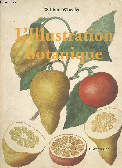 L'Illustration botanique.